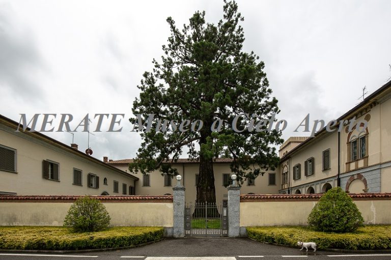 Villa Sala Cornaggi Medici
