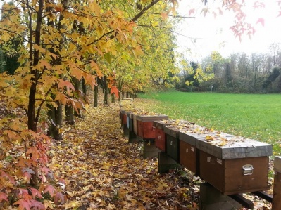 L’azienda agricola Chelidonia