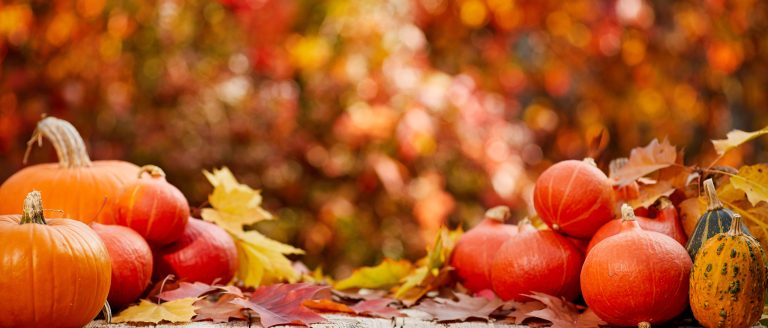 Autunno nel Meratese – Colori, vendemmia e tradizioni