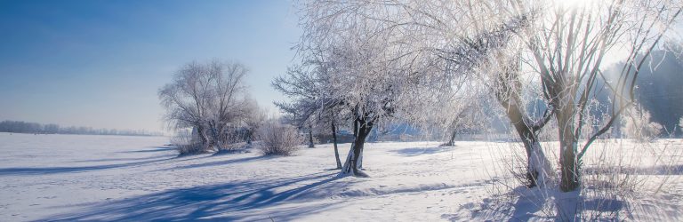 Inverno nel Meratese – Atmosfere raccolte e paesi illuminati
